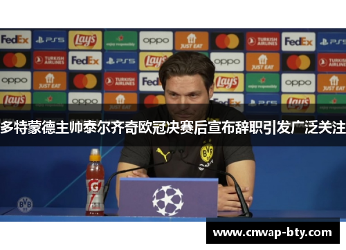 多特蒙德主帅泰尔齐奇欧冠决赛后宣布辞职引发广泛关注